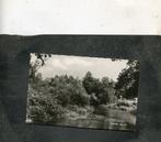 Ansicht Ommen - Meertje, Verzamelen, Ansichtkaarten | Nederland, Verzenden, 1940 tot 1960, Gelopen, Overijssel