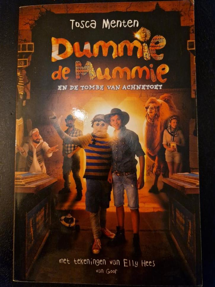 Dummy de Mummie - Serie Boeken, Boeken, Kinderboeken | Jeugd | onder 10 jaar, Gelezen, Fictie algemeen, Ophalen of Verzenden