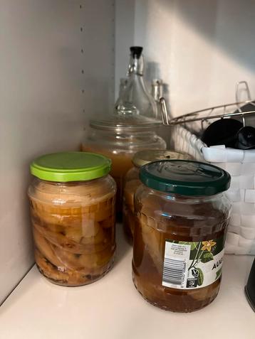 Scoby Kombucha - Zelf Kombucha Maken! beschikbaar voor biedingen