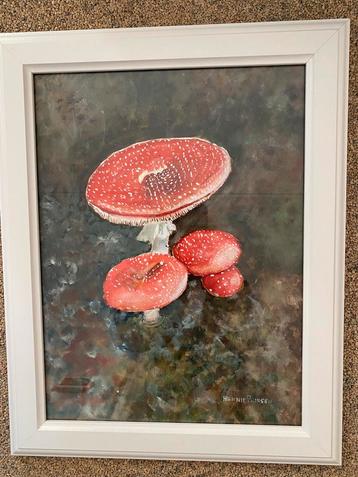 Klassiek Aquarel Schilderij van Vliegenzwammen beschikbaar voor biedingen