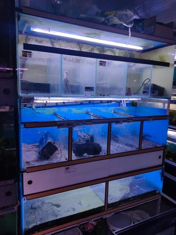 Aquarium stelling beschikbaar voor biedingen