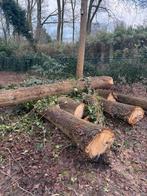 Stammen Eikenhout, Tuin en Terras, Haardhout, 6 m³ of meer, Ophalen, Eikenhout, Stammen