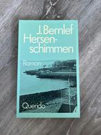 Hersenschimmen Bernlef, Boeken, Literatuur, Ophalen of Verzenden, Nederland
