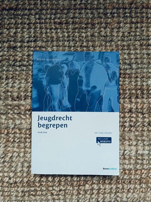 Lydia Janssen - Jeugdrecht begrepen, Boeken, Wetenschap, Zo goed als nieuw, Sociale wetenschap, Ophalen of Verzenden