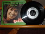 david cassidy /how can i be sure/ ricky's tune, Cd's en Dvd's, Vinyl Singles, Gebruikt, 7 inch, Single, Ophalen of Verzenden