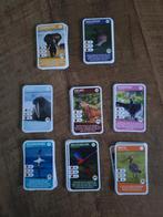 AH Freek Vonk – Dieren laten van zich horen, Albert Heijn, Ophalen of Verzenden