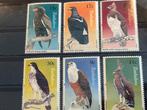 Vogel, Zimbabwe 1984, Ophalen of Verzenden, Postfris, Dier of Natuur