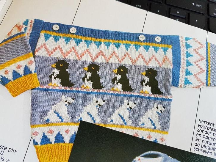 Pinguins en ijsberen trui breipatroon, Hobby en Vrije tijd, Breien en Haken, Zo goed als nieuw, Breien, Patroon of Boek, Verzenden