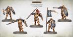 Warhammer Age of Sigmar: Vindictors, Ophalen of Verzenden, Nieuw, Warhammer, Figuurtje(s)