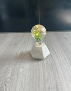 Betonlook kunstplant in lampje decoratie woonaccessoires, Huis en Inrichting, Woonaccessoires | Overige, Ophalen of Verzenden