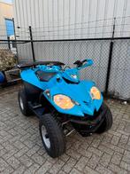 QUAD met Kenteken E-TON Vector ST 300, Motoren, Quads en Trikes, 300 cc, 1 cilinder, 12 t/m 35 kW