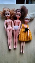 Vintage Barbie Sindy Fleur Tienerpop blond rood roodbont haa, Ophalen of Verzenden, Fashion Doll