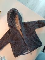 Baby teddy jas maat 56, Kinderen en Baby's, Babykleding | Maat 56, Ophalen of Verzenden, Zo goed als nieuw, Meisje, Jasje