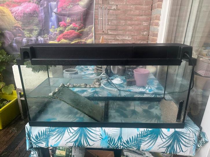 Waterschildpad verblijf