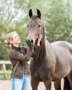 Enthousiaste dressuur/ houding en zit instructie aangeboden!, Dieren en Toebehoren, Zo goed als nieuw, Dressuur, Ophalen