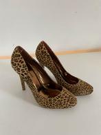 Leopard Pumps - Maat 38, Ophalen, Gedragen, Bruin, Pumps