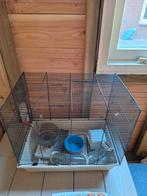 Hamsterkooi, Dieren en Toebehoren, Knaagdieren en Konijnen | Hokken en Kooien, Ophalen, Minder dan 75 cm, Kooi, Minder dan 60 cm
