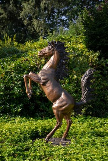 Bronzen beeld steigerend paard. beschikbaar voor biedingen
