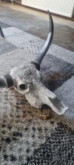 Schedel met Horens - Wanddecoratie, Ophalen of Verzenden, Gebruikt