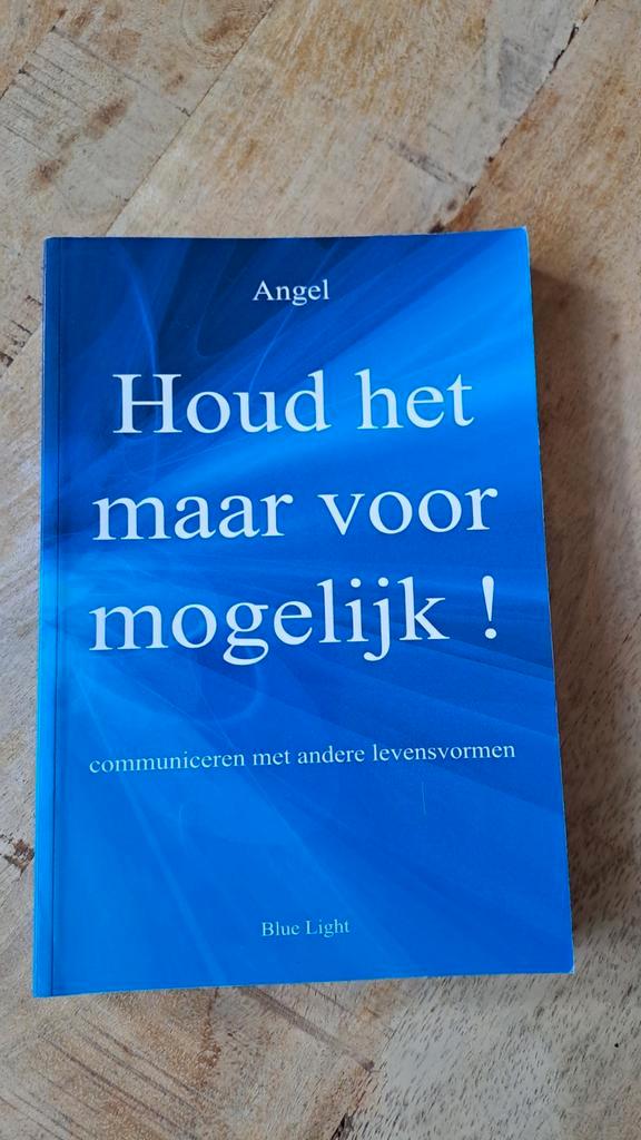 Angel - Houd het maar voor mogelijk!, Boeken, Esoterie en Spiritualiteit, Zo goed als nieuw, Achtergrond en Informatie, Spiritualiteit algemeen