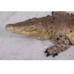 Crocodile mouth closed 12 ft – Krokodil beeld Lengte 343 cm, Ophalen, Nieuw
