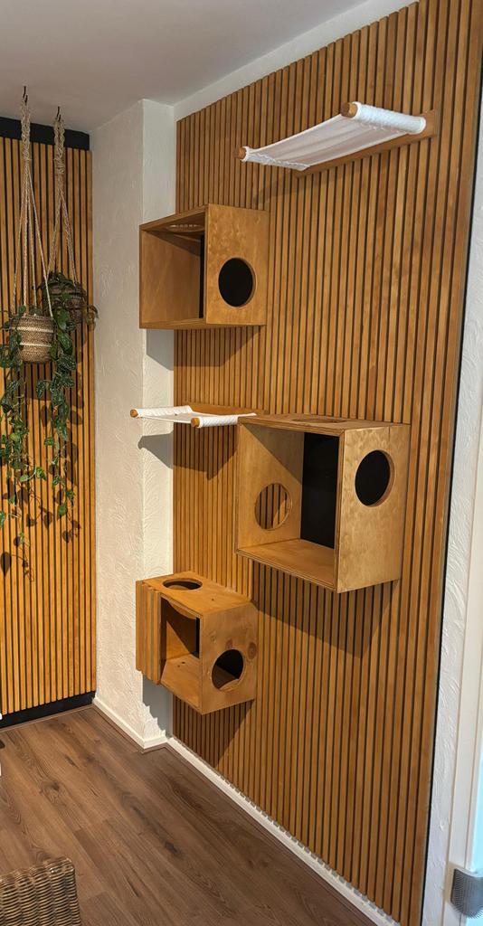 Origineel wandpaneel/klimwand voor katten, Dieren en Toebehoren, Katten-accessoires, Zo goed als nieuw, Ophalen