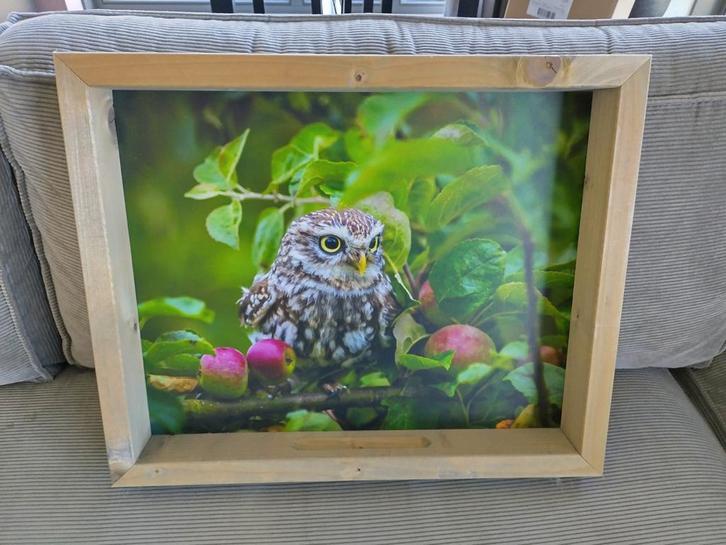 Feedy Vogelvoederlijst uil nieuw vogelhuisje, Tuin en Terras, Vogelhuisjes en Vogelbaden, Nieuw, Ophalen of Verzenden