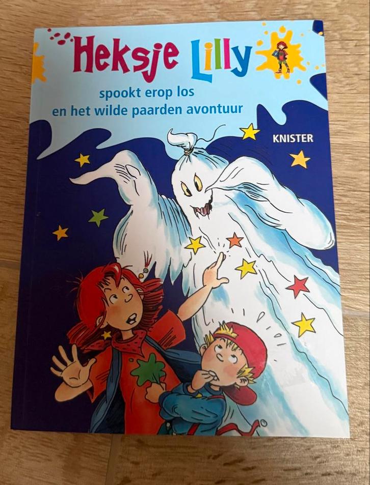 Heksje Lilly Boeken, Boeken, Kinderboeken | Jeugd | onder 10 jaar, Zo goed als nieuw, Sprookjes, Ophalen of Verzenden
