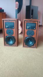 B&W DM5 luidsprekers, Audio, Tv en Foto, Luidsprekers, Ophalen of Verzenden, Gebruikt, Front, Rear of Stereo speakers, Bowers & Wilkins (B&W)