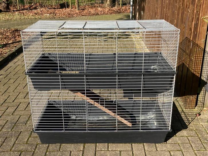 cavia- of konijnenflat, cavia hok kooi, Dieren en Toebehoren, Knaagdieren en Konijnen | Hokken en Kooien, Gebruikt, Kooi, 90 cm of meer