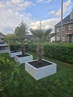 Plantenbakken, Minder dan 60 cm, Vierkant, Nieuw, Ophalen of Verzenden