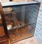 Gerbilarium 60 cm x 80 Cm Gerbil Kooi Terrarium + Spullen, Dieren en Toebehoren, Ophalen, Kooi, 60 tot 90 cm, Minder dan 75 cm