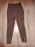 Rijbroek 38, Dieren en Toebehoren, Paardrijkleding, Gebruikt, Dressuur, Diverse. com, Diverse