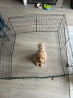 Puppyren 61x61cm, Dieren en Toebehoren, Ophalen, Zo goed als nieuw