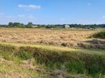 natuur hooi, Ophalen, Nieuw
