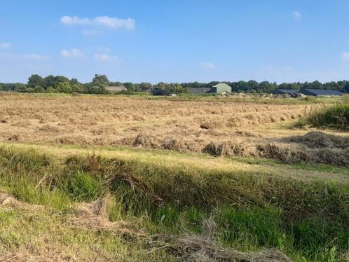 natuur hooi, Hobby en Vrije tijd, Overige Hobby en Vrije tijd, Nieuw, Ophalen