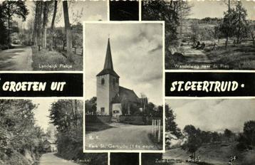 Groeten uit St. Geertruid - 5 afb dorp natuur - 1963 gelopen beschikbaar voor biedingen