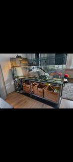Aquarium met 2 schildpadjes 200x45x45 fluval fx4, Dieren en Toebehoren, Vissen | Aquaria en Toebehoren, Ophalen of Verzenden, Overige typen