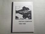 Pieter Compaan 1903 - 1983. Groningen. Den Haag., Verzenden, Zo goed als nieuw, Zie beschrijving, Schilder- en Tekenkunst