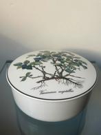 Villeroy en Boch doos Botanica, Ophalen of Verzenden