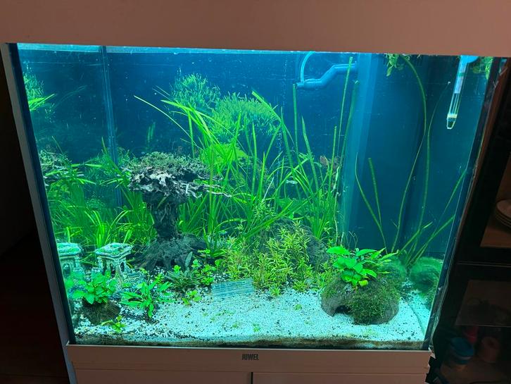 Juwel Rio 120 Aquarium + Stand – Complete Setup, Dieren en Toebehoren, Vissen | Aquaria en Toebehoren, Leeg aquarium, Ophalen of Verzenden