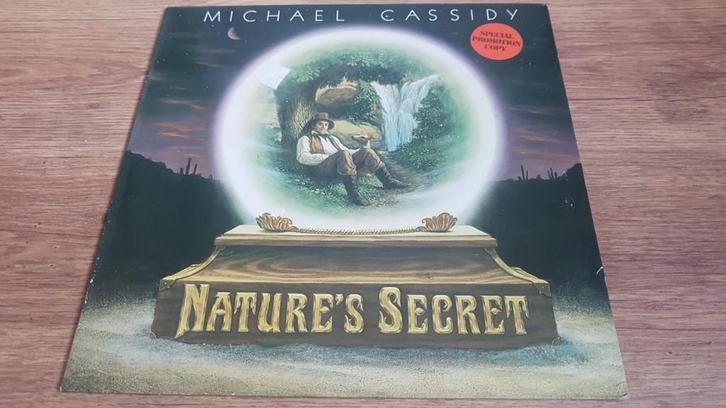 Michael Cassidy - Nature's Secret (1979) Vinyl Album, Cd's en Dvd's, Vinyl | Pop, Gebruikt, 1960 tot 1980, 12 inch, Ophalen of Verzenden
