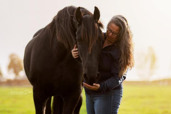 Coaching op de boerderij, Diensten en Vakmensen, Coaching en Persoonlijke effectiviteit