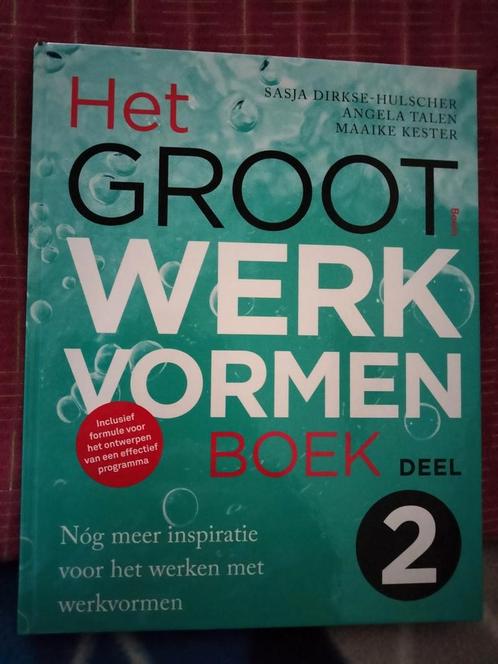 Sasja Dirkse-Hulscher - 2, Boeken, Wetenschap, Zo goed als nieuw, Ophalen of Verzenden