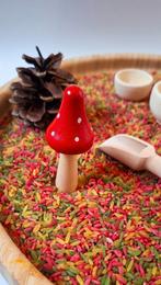 Herfst speeltip! Speelrijst, themaset montesorri, Ophalen of Verzenden, Nieuw, Ontdekken