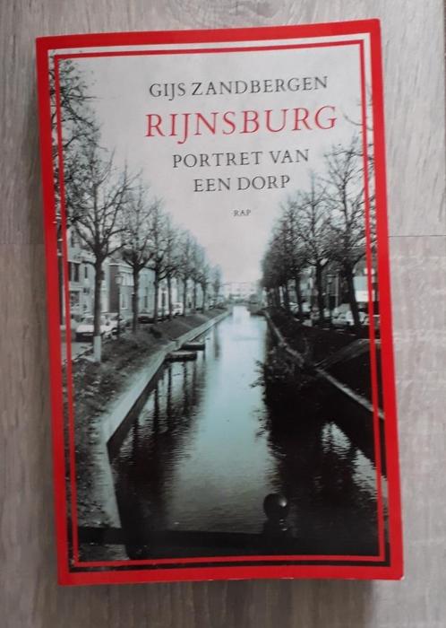 Rijnsburg - portret van een dorp, Boeken, Geschiedenis | Vaderland, Gelezen, Ophalen of Verzenden