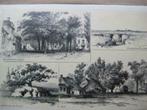 098 / Rolde. / Eext /Assen  /  Litho 1876, Antiek en Kunst, Ophalen of Verzenden