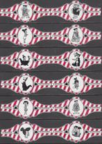 Sigarenbanden van de Flintstones, Murillo 1-12 rood-zilver, Ophalen of Verzenden, Zo goed als nieuw, Sigarenbandjes
