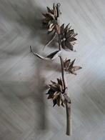 Decoratieve tak met zaaddozen, Huis en Inrichting, Ophalen, Zo goed als nieuw