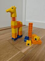 LEGO Duplo peuter - grappige giraffe 3512, Ophalen, Zo goed als nieuw, Complete set, Duplo